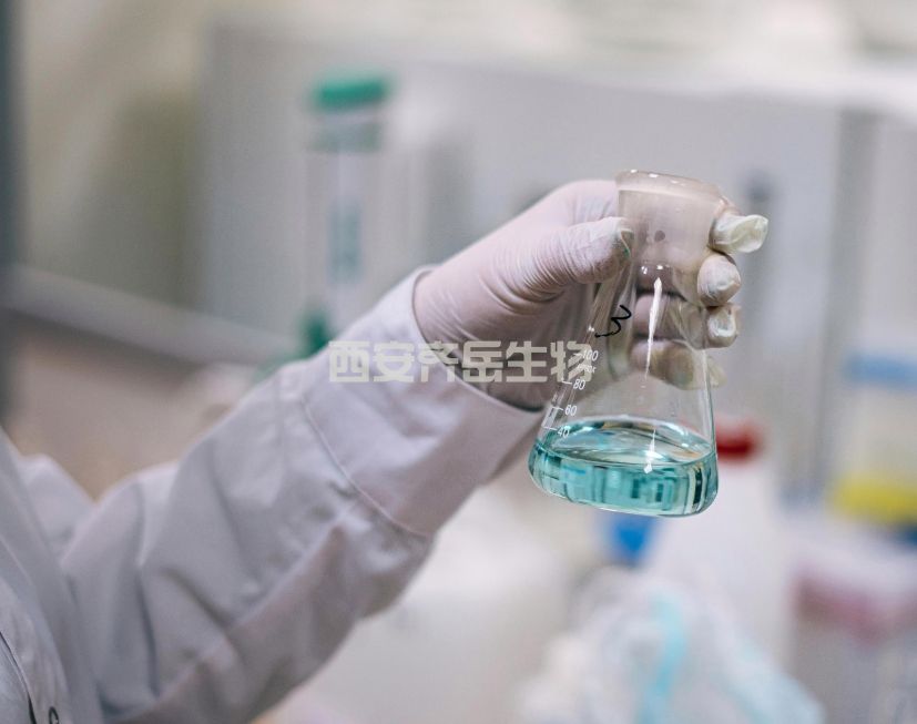 定制技術